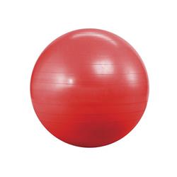 PELOTA FITBALL Ø 65cm SONNOS Nacional