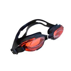 ANTIPARRA MAGALLANES