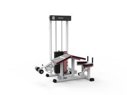 CAMILLA ISQUIOTIBIALES SONNOS P100 75kg