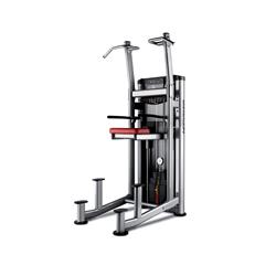 MAQUINA DOMINADAS / FONDOS BH L450PB (con asistencia)