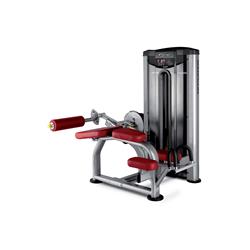 CAMILLA ISQUIOTIBIALES BH L030PB (femoral tumbado)