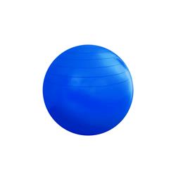 PELOTA FITBALL Ø 25cm PYC (art 844)