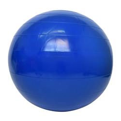 PELOTA FITBALL Ø 55cm NACIONAL REFORZADA - Azul