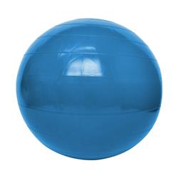 PELOTA FITBALL Ø 65cm NACIONAL REFORZADA - Celeste