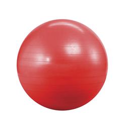 PELOTA FITBALL Ø 65cm SMK